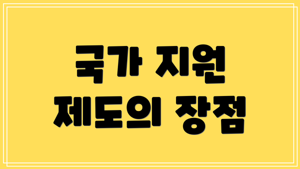국가 지원 제도의 장점
