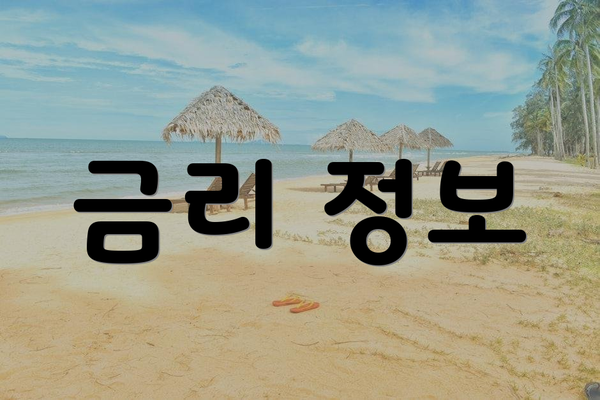 금리 정보