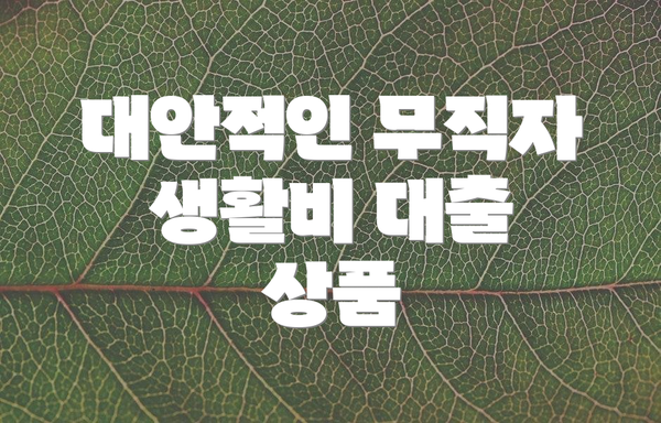대안적인 무직자 생활비 대출 상품