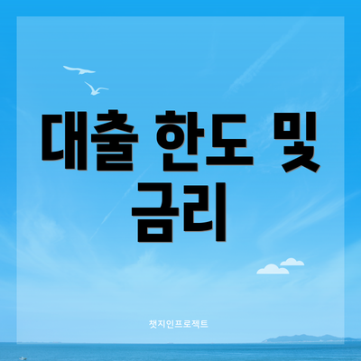 대출 한도 및 금리