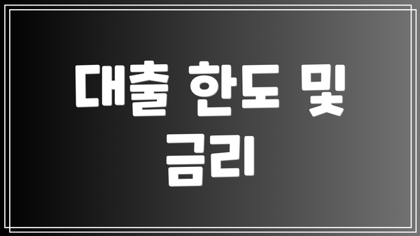 대출 한도 및 금리