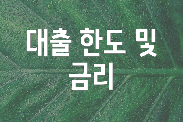 대출 한도 및 금리