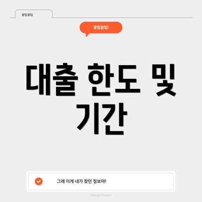 대출 한도 및 기간