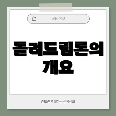 돌려드림론의 개요