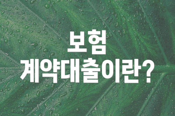 보험 계약대출이란?