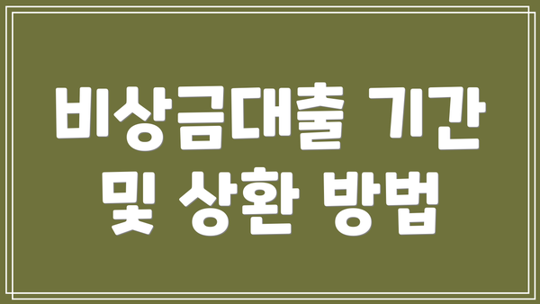 비상금대출 기간 및 상환 방법