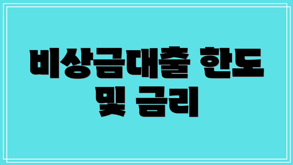 비상금대출 한도 및 금리