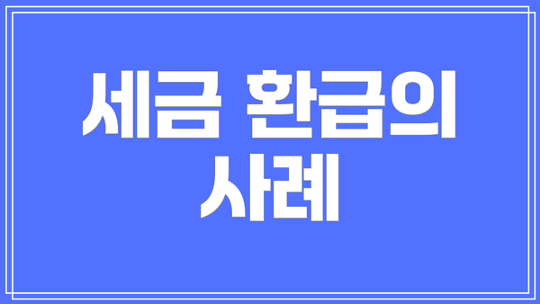 세금 환급의 사례