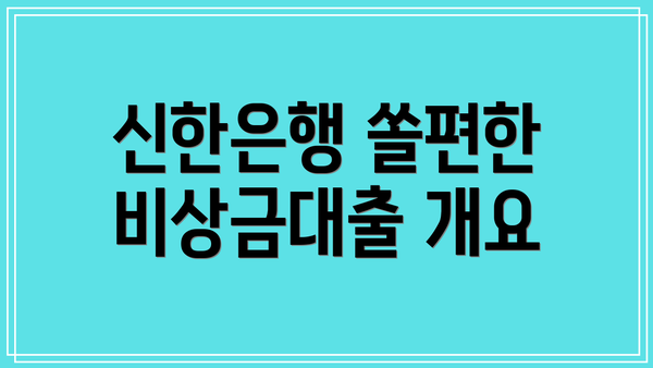 신한은행 쏠편한 비상금대출 개요