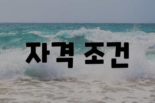 자격 조건