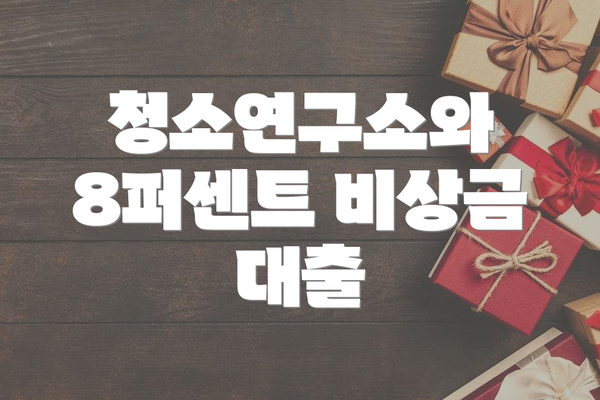 청소연구소와 8퍼센트 비상금 대출