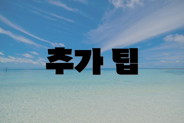 추가 팁