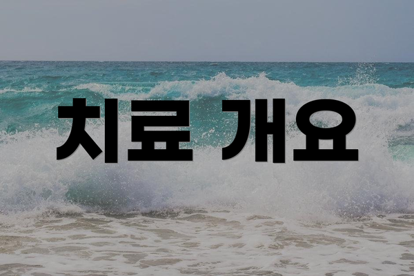 치료 개요