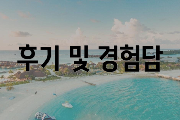후기 및 경험담