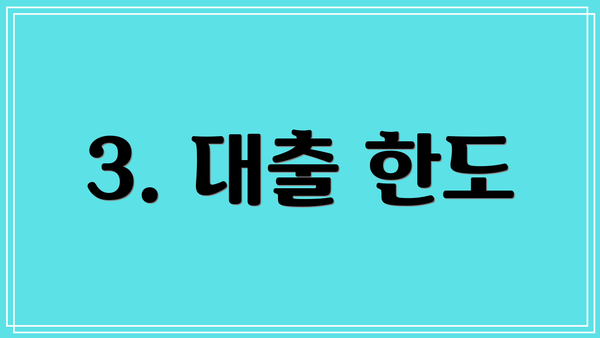3. 대출 한도