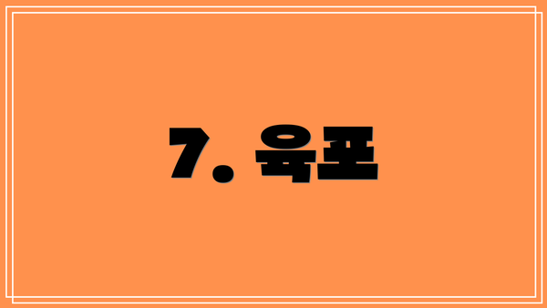 7. 육포