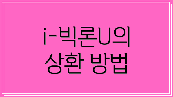 i-빅론U의 상환 방법