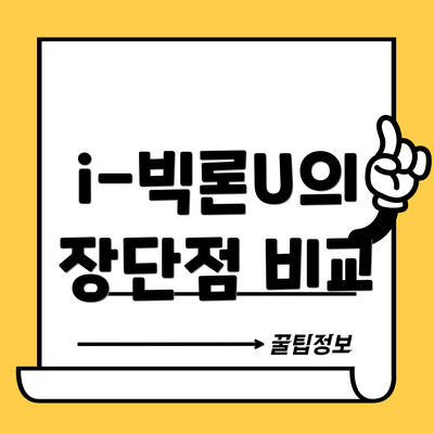 i-빅론U의 장단점 비교