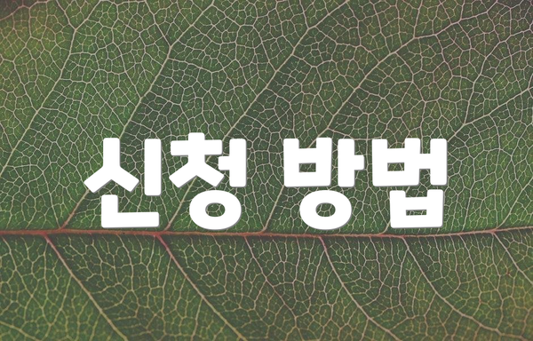신청 방법