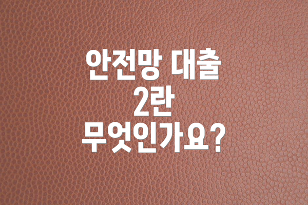 안전망 대출 2란 무엇인가요?