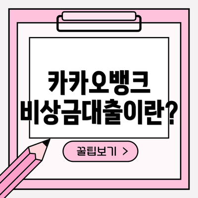카카오뱅크 비상금대출이란?