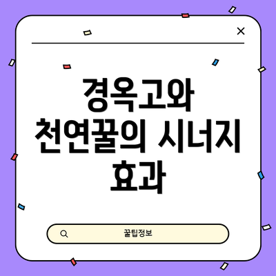 경옥고와 천연꿀의 시너지 효과