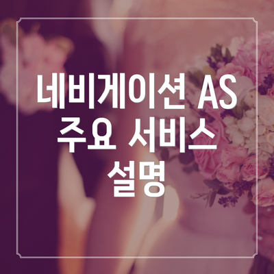 네비게이션 AS 주요 서비스 설명