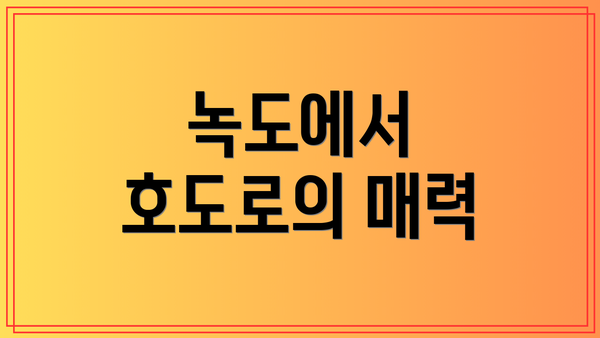 녹도에서 호도로의 매력