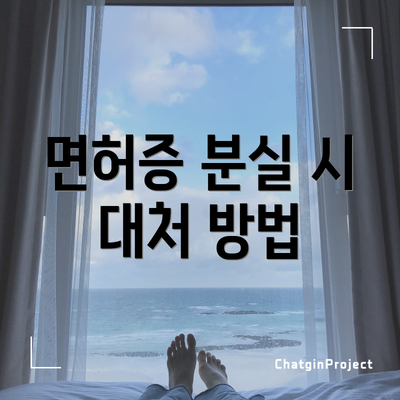 면허증 분실 시 대처 방법