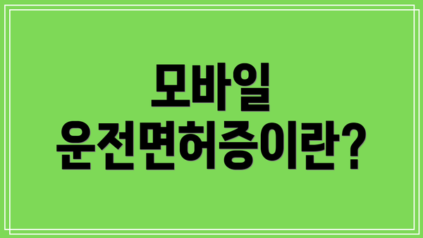 모바일 운전면허증이란?