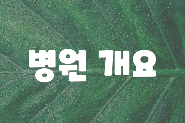 병원 개요