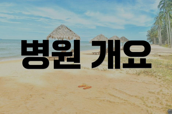 병원 개요
