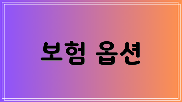 보험 옵션