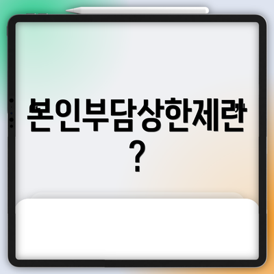 본인부담상한제란?
