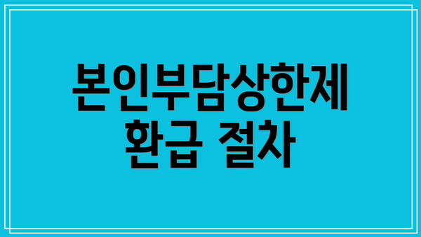 본인부담상한제 환급 절차