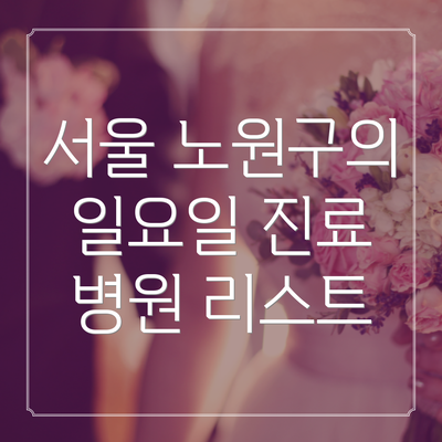 서울 노원구의 일요일 진료 병원 리스트