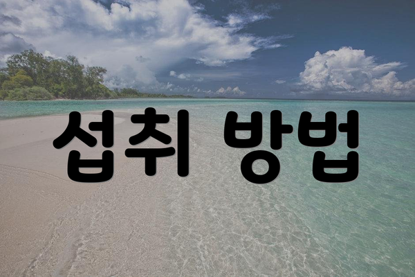 섭취 방법