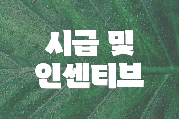 시급 및 인센티브