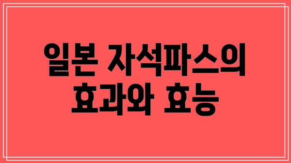 일본 자석파스의 효과와 효능