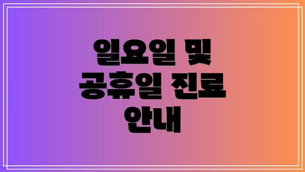일요일 및 공휴일 진료 안내