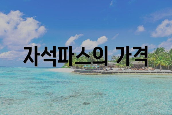 자석파스의 가격