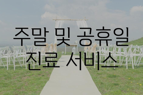 주말 및 공휴일 진료 서비스