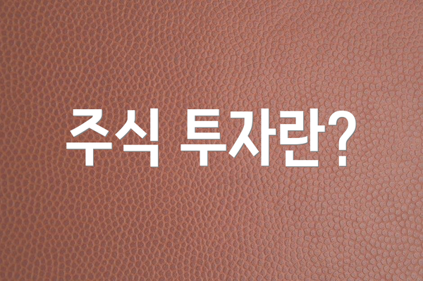 주식 투자란?