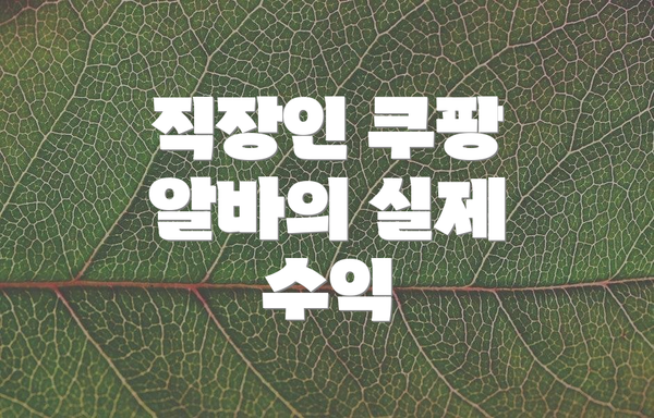 직장인 쿠팡 알바의 실제 수익