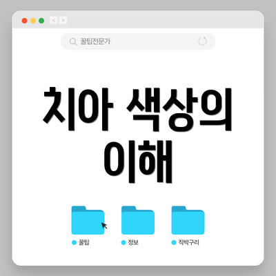 치아 색상의 이해