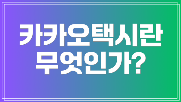 카카오택시란 무엇인가?