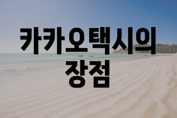 카카오택시의 장점