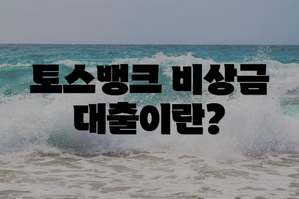 토스뱅크 비상금 대출이란?