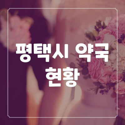 평택시 약국 현황