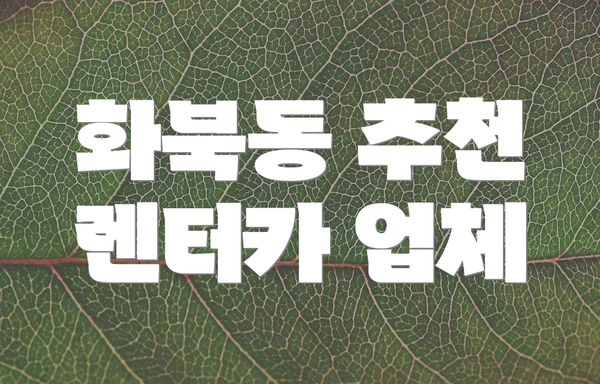 화북동 추천 렌터카 업체